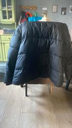Burberry jas, Kleding | Heren, Maat 52/54 (L), Zwart, Ophalen of Verzenden, Zo goed als nieuw