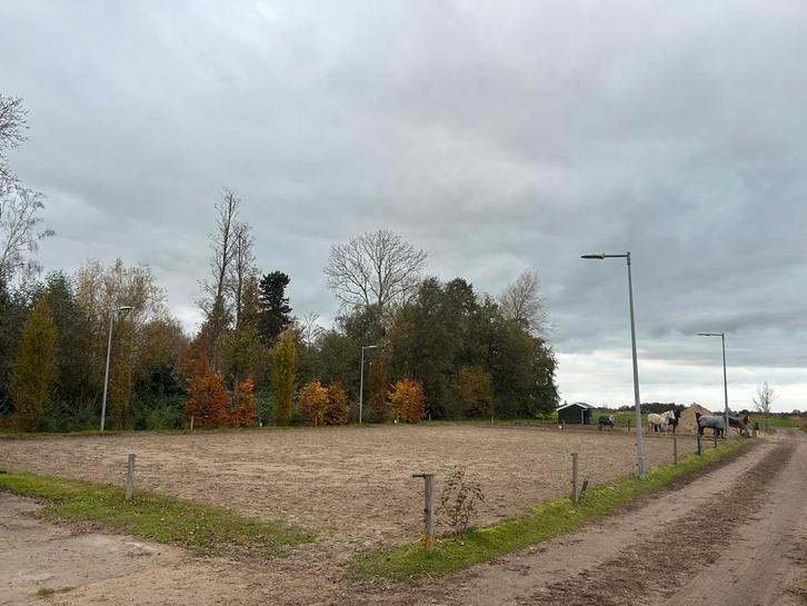 Paardenstalling in Wormer, Dieren en Toebehoren, Stalling en Weidegang, Stalling