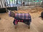 Vliegen deken maat 110 voor het mini paard, Dieren en Toebehoren, Paarden en Pony's | Dekens en Dekjes, Ophalen of Verzenden, Zo goed als nieuw