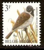 België 1991   Vogel   Rietgors   2477   (Pfr), Verzenden, Postfris