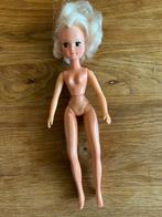 Pop zonder tekst. Barbie, fleur, Sindy., Kinderen en Baby's, Speelgoed | Poppen, Ophalen of Verzenden, Zo goed als nieuw
