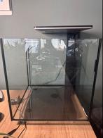Aquarium met verlichting en filter, Dieren en Toebehoren, Vissen | Aquaria en Toebehoren, Ophalen of Verzenden, Gebruikt, Leeg aquarium