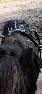Prachtig zwart shetlander tuig, Dieren en Toebehoren, Ophalen, Zo goed als nieuw, Recreatie