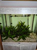 Aqualantis aquarium, Ophalen, Zo goed als nieuw, Leeg aquarium