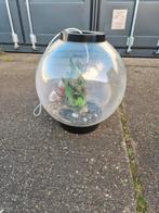 biOrb

biOrb Classic 60 LED Zwart, Ophalen of Verzenden, Zo goed als nieuw, Verlichting of Verwarming