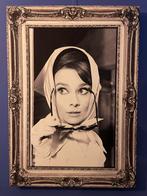 5 Audrey Hepburn canvaslijsten (prijs per stuk), Oorspronkelijke maker, Ophalen of Verzenden, Zo goed als nieuw, Foto of Poster