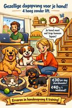 Oppas aan huis – warme, rustige opvang voor je hond, Ophalen, Hond