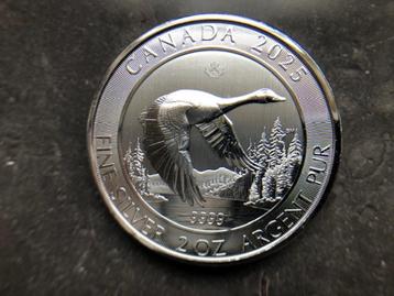 2025 Canada - Goose - 2 oz silver beschikbaar voor biedingen