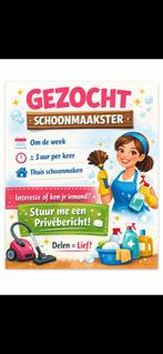 Schoonmaakster gezocht., Overige uren, Overige niveaus, Overige vormen