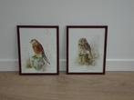 Twee vintage schilderijen / vogel prints met lijst, Minder dan 50 cm, Gebruikt, Ophalen of Verzenden, Minder dan 50 cm
