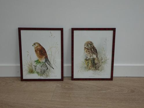 Twee vintage schilderijen / vogel prints met lijst, Huis en Inrichting, Woonaccessoires | Lijsten, Gebruikt, Minder dan 50 cm