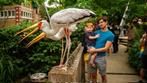 Sea Life Scheveningen tweede kaartje gratis, Twee personen