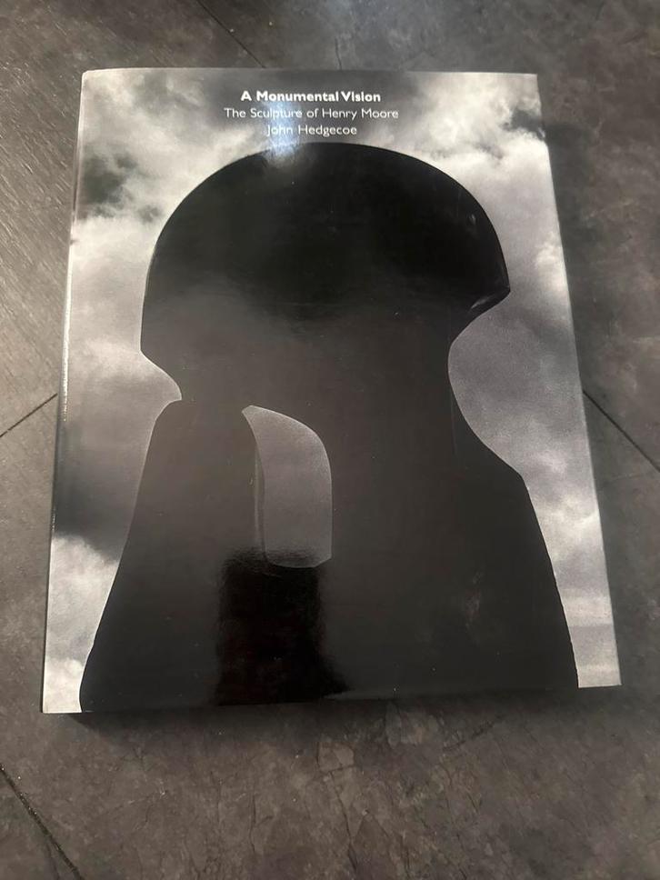 Henry Moore Sculpturen - A Monumental Vision, Boeken, Kunst en Cultuur | Beeldend, Zo goed als nieuw, Beeldhouwkunst, Ophalen of Verzenden
