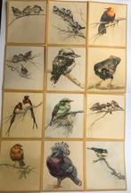 Tini van Doornik - vogels - ca 1940?, Ophalen of Verzenden