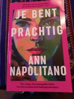 Je bent prachtig, Ann Napolitano, Boeken, Romans, Ann Napolitano, Ophalen of Verzenden, Zo goed als nieuw, Amerika