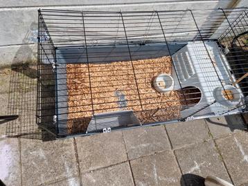 Konijn / cavia hok beschikbaar voor biedingen