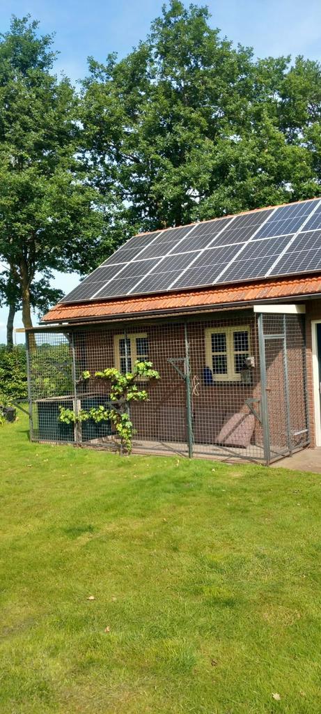 XXL hondenren inclusief nachthok in Leveroy, Dieren en Toebehoren, Hondenhokken, Gebruikt, Hondenkennel, 100 cm of meer, 110 cm of meer