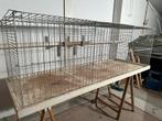 Trainingskooi pluimvee, Dieren en Toebehoren, Vogels | Hokken en Kooien, Ophalen, Gebruikt, Metaal, Overige typen