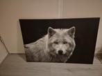Schilderij wolf, Ophalen of Verzenden, Zo goed als nieuw