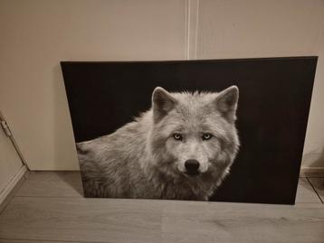 Schilderij wolf beschikbaar voor biedingen