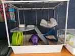 Ratten inc kooi en accessoires, Dieren en Toebehoren, Ophalen, Zo goed als nieuw, 75 tot 110 cm, Kooi