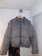 Korte grijze primark winterjas, maat L, Ophalen of Verzenden, Zo goed als nieuw, Maat 38/40 (M), Grijs