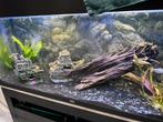 Kienhout en schip, Dieren en Toebehoren, Vissen | Aquaria en Toebehoren, Ophalen, Zo goed als nieuw, Plant(en), Steen of Hout