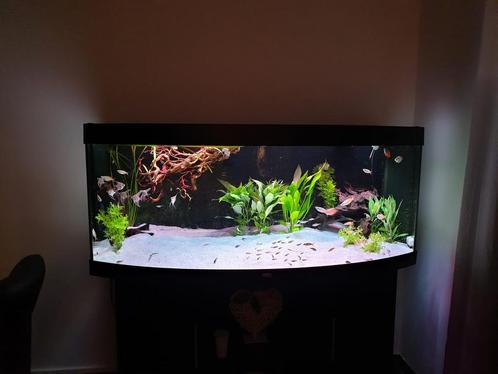 Juwel Vision 450 aquarium, Dieren en Toebehoren, Vissen | Aquaria en Toebehoren, Gebruikt, Leeg aquarium, Ophalen