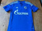 Voetbalshirt Schalke 04 Huntelaar vintage shirt verzamelen, Sport en Fitness, Shirt, Maat XS of kleiner, Ophalen of Verzenden