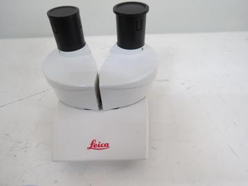 Leica stereo  bino tube  microscoop