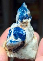 LAZURIET, AFGHANISTAN (=UV), Ophalen of Verzenden, Mineraal