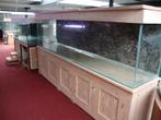 Aquarium   op elk gewenste  maat  ., Dieren en Toebehoren, Vissen | Aquariumvissen, Vis