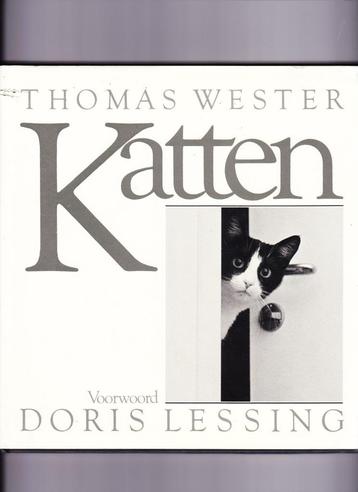 Thomas Wester Katten 