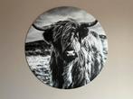 Rond schilderij Schotse Hooglander, Ophalen, Zo goed als nieuw, 75 tot 100 cm, Foto of Poster