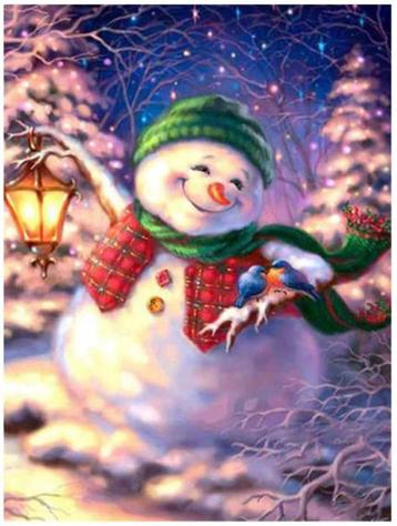 Diamond painting Kerst 4 Sneeuwpop groene muts (BOX D - 32) beschikbaar voor biedingen