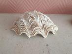 Leuk model doopvondschelp, Ophalen of Verzenden