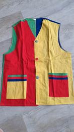 Gilet carnaval, Ophalen of Verzenden, Zo goed als nieuw, Carnaval