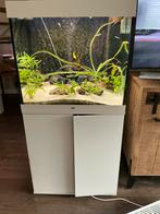 Juwel Lido 200 met externe Eheim Potfilter, Dieren en Toebehoren, Vissen | Aquaria en Toebehoren, Ophalen, Zo goed als nieuw, Gevuld zoetwateraquarium