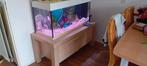 Aqarium compleet, Dieren en Toebehoren, Vissen | Aquaria en Toebehoren, Ophalen, Gebruikt, Overige typen