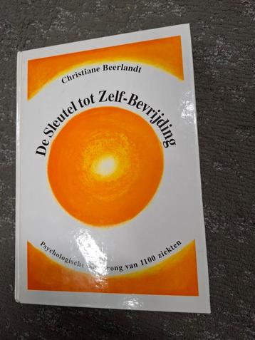 De Sleutel tot Zelf-Bevrijding - Beerlandt beschikbaar voor biedingen