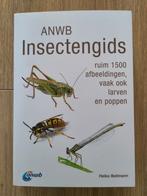 Heiko Bellmann - ANWB Insectengids, Ophalen of Verzenden, Zo goed als nieuw, Heiko Bellmann