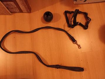 Hondenriem met tuig en bijtspeeltje. Nieuw! beschikbaar voor biedingen