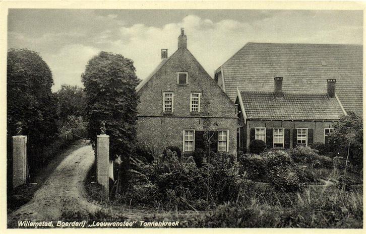 Willemstad. Boerderij Leeuwenstee Tonnenkreek - ongelopen, Verzamelen, Ansichtkaarten | Nederland, Ongelopen, Noord-Brabant, Voor 1920