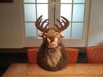 Rendier, Diversen, Kerst, Ophalen of Verzenden, Zo goed als nieuw