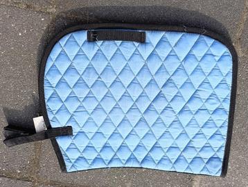 Blauw pony dekje beschikbaar voor biedingen
