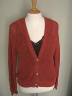 Vest maat M van Sanne ., Kleding | Dames, Ophalen of Verzenden, Zo goed als nieuw, Maat 38/40 (M), Bruin