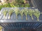 Bosjes gedroogde juffertje in het groen., Huis en Inrichting, Woonaccessoires | Droogbloemen, Ophalen of Verzenden, Zo goed als nieuw