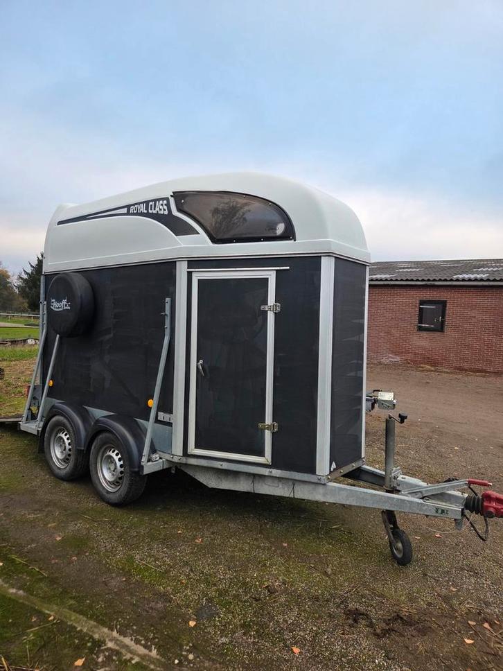 Vrij Nette 1,5 paards  ATEC 2010 !, Dieren en Toebehoren, Paarden en Pony's | Overige Paardenspullen, Overige soorten, Ophalen of Verzenden