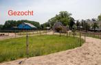 Paddock Paradise of te maken gezocht, Dieren en Toebehoren, Stalling en Weidegang, Weidegang, 1 paard of pony