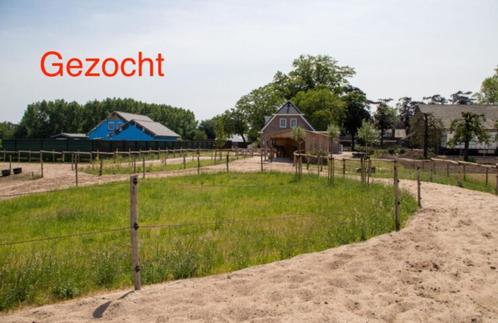 Paddock Paradise of te maken gezocht, Dieren en Toebehoren, Stalling en Weidegang, Stalling, Weidegang, 1 paard of pony